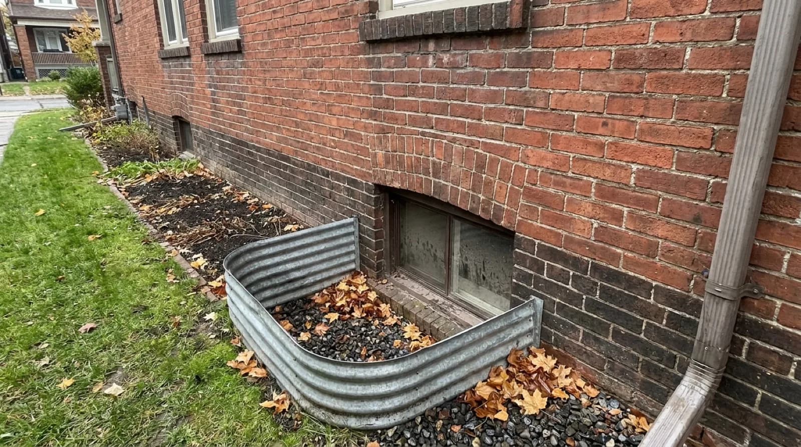 A galvanized corrugated steel window well against the brick wall of an older Toronto house, a small basement window inside it, dark gravel and fallen maple leaves at the bottom, a downspout on the wall to the right