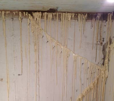 Accurate Construction Ltd photo 2