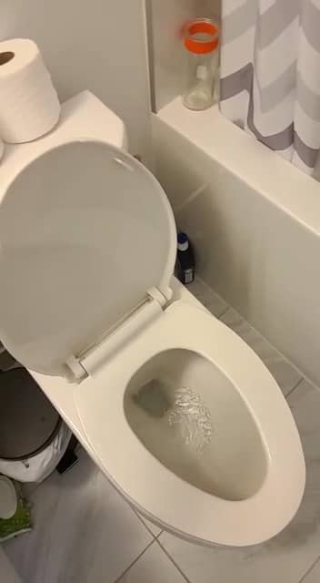 CJ Drain & Plumbing (Toronto) photo 4