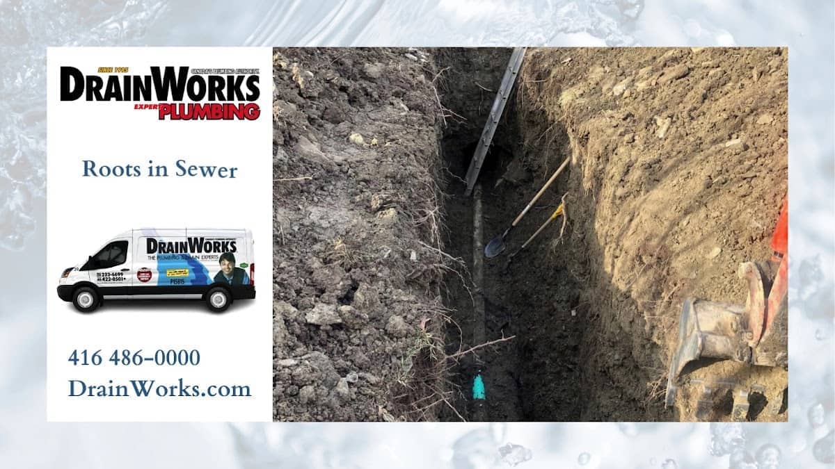 DrainWorks Plumbing Scarborough