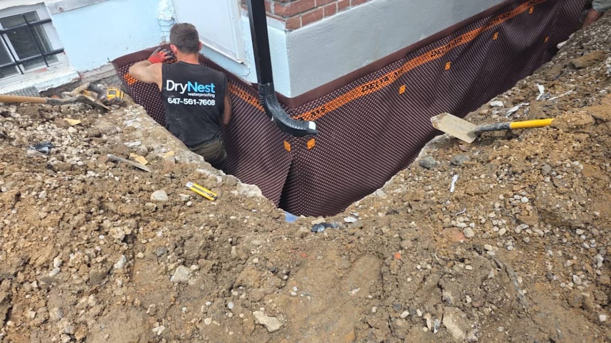 DryNest Waterproofing