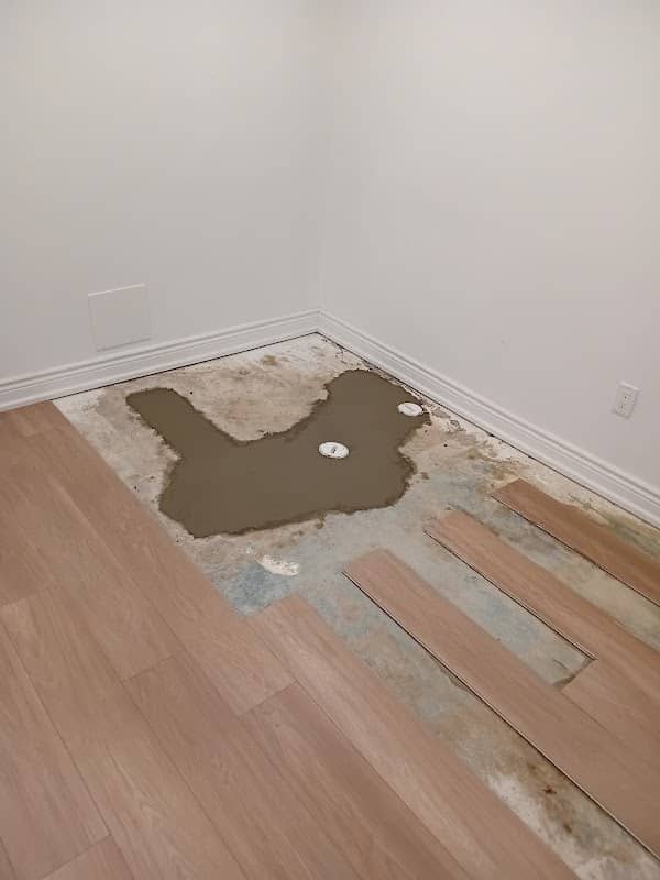 Flush and Forget Drain and Plumbing Ltd photo 2