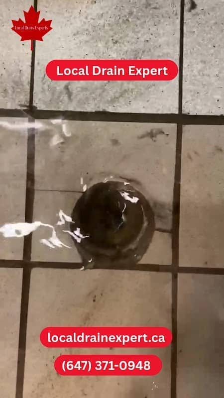 Local Drain Expert photo 3