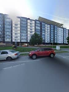 Nova Landscaping photo 4