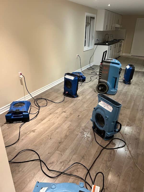 Pro Max Restoration of East York photo 4