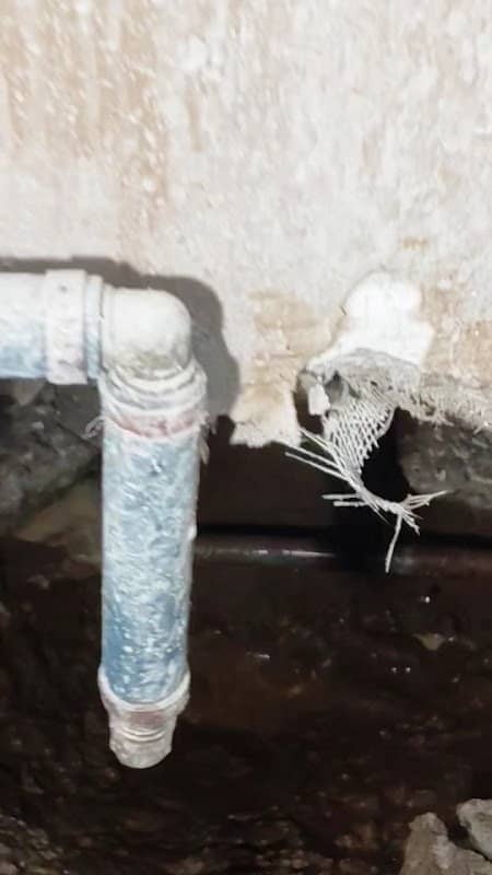 Saving Plumbing photo 3